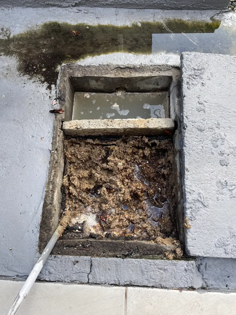 Caixa de gordura aberta com camada espessa de gordura acumulada na superfície, antes da limpeza