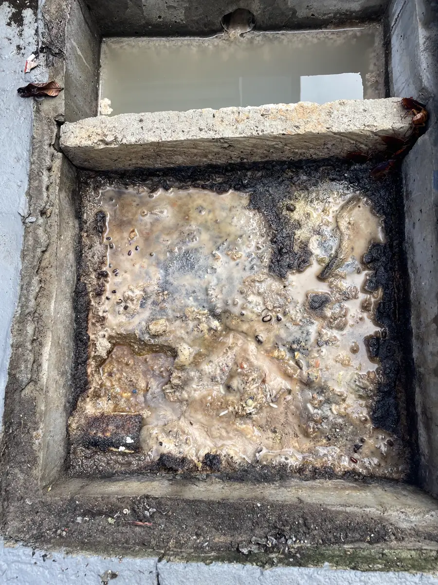 Caixa de gordura de alvenaria aberta com crosta espessa de gordura, a origem do mau cheiro